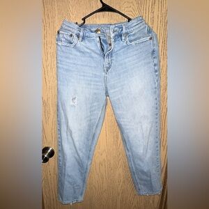 American Eagle Outfitters Light Blue Boyfriend Jeans